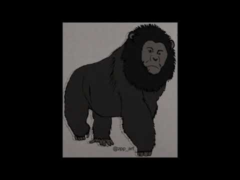 Image YouTube