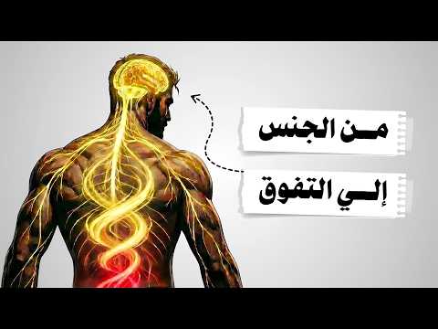 Image YouTube