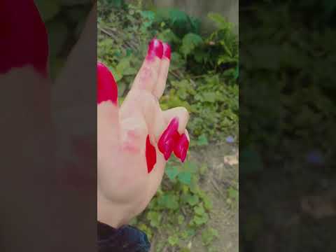 Image YouTube