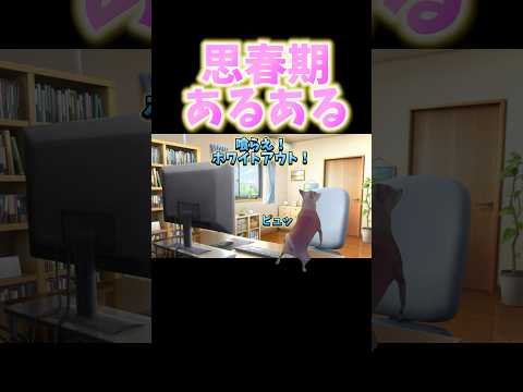 Image YouTube