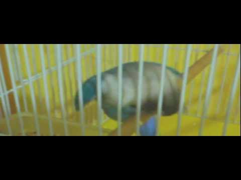Image YouTube