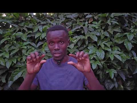 Image YouTube